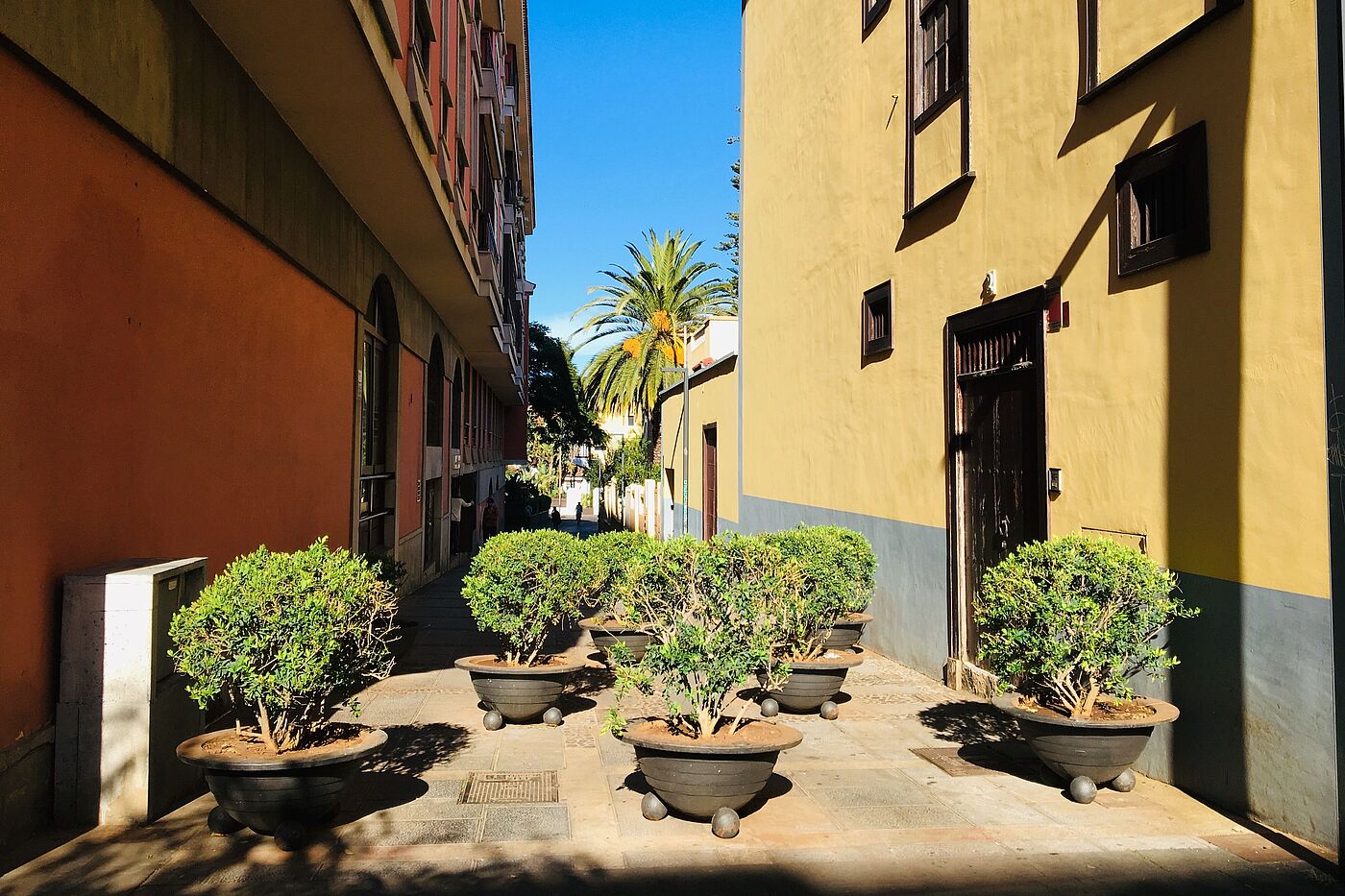 In San Andres auf Teneriffa ersetzen Blumenkübel Poller. In San Andres auf Teneriffa ersetzen Blumenkübel Poller.